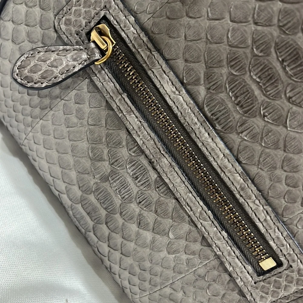 Celine Bag, Size Medium, Python Skin - Picture 2 of 13